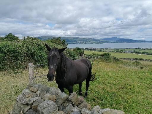 Carlingford Mountain And Sea Views Apartment Exterior photo